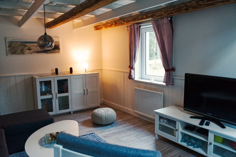 Wohnzimmer mit TV